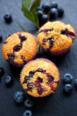 Blueberry muffins Hindistan cevizi pul eklenmesi ile. Lezzetli tatlı