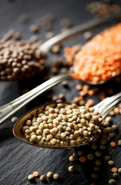 Diferentes tipos de lentilhas — Fotografia de Stock