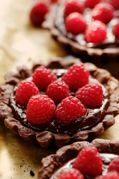 Torta de chocolate com framboesas frescas — Fotografia de Stock