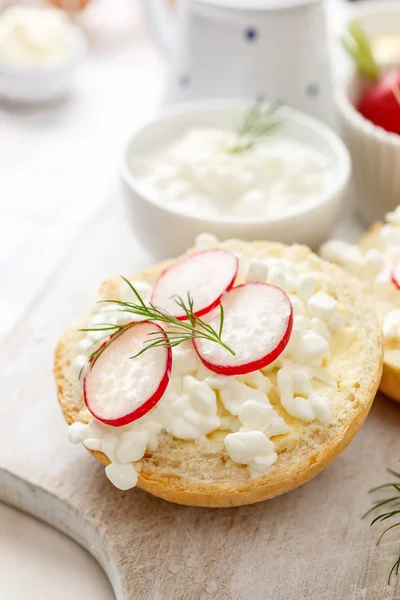 Сендвіч з сиром зі свіжою редькою і кропом на білій дошці крупним планом — стокове фото