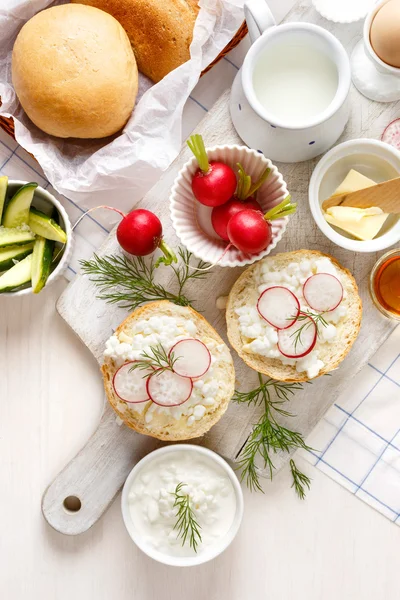 Сендвіч з сиром зі свіжою редькою та кропом на білій дошці вид зверху — стокове фото
