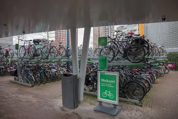 Bicycle court in Rotterdam Netherlands