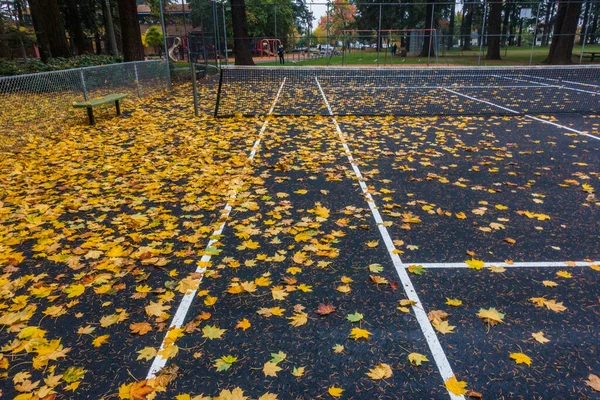 outdoor tennis court covered by leaves