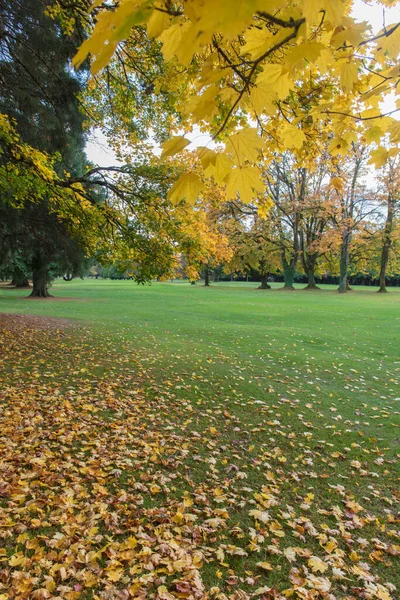 Forest land in Oregon state