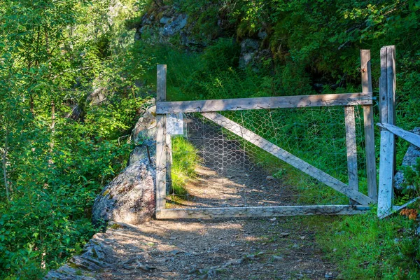 Норвегия Августа Деревянные Ворота Пешеходной Дорожке Лесу — стоковое фото