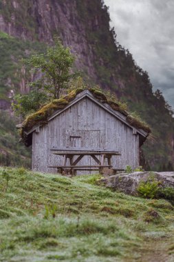 FLO, NORway - 2020 Ağustos 10. Çatısı çimen ve ağaçla kaplı eski gri çiftlik evi.