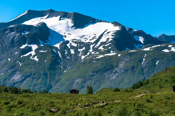 Flo Norway 2020年8月10日 雪の大きな山と野生の自然の中でノルウェーの小屋 — ストック写真