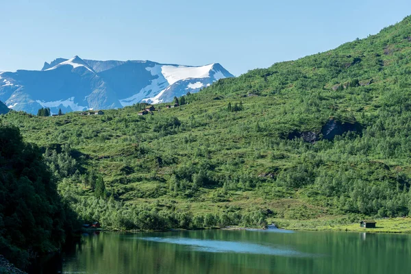 Норвегия Августа Зеленое Озеро Лес Большими Горами Снегом Позади — стоковое фото