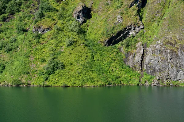 Flo Norwegia 2020 Sierpnia Zielone Jezioro Las — Zdjęcie stockowe