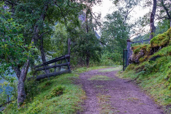 Flo Norwegia 2020 Sierpnia Droga Krajowa Norweskim Lesie — Zdjęcie stockowe