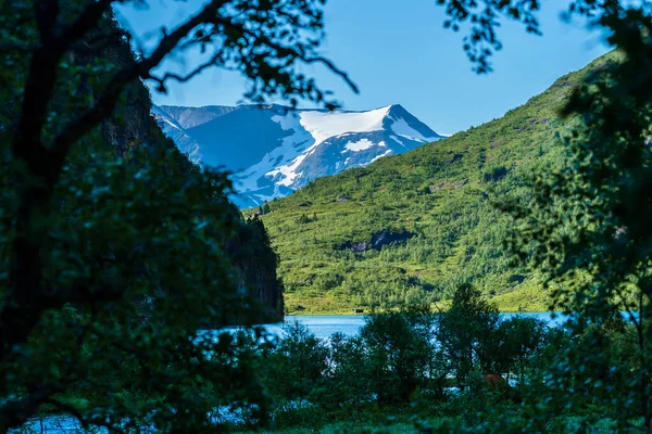 Flo Norwegia 2020 Sierpnia Piękna Norweska Przyroda Dużymi Górami Jeziorem — Zdjęcie stockowe