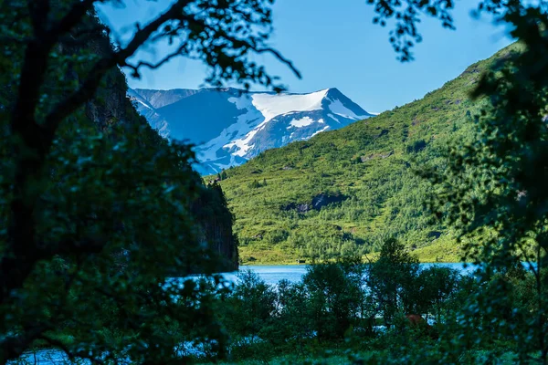 FLO, NORway - 2020 Ağustos 10. Büyük dağları ve gölü olan güzel Norveç doğası.