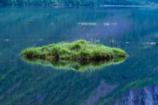 Flo Norway 2020 August Tiny Grass Island Middle Lake Morning — Stock Photo, Image