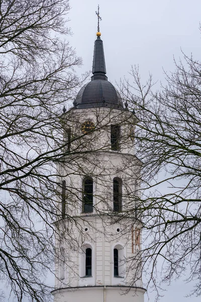 Vilnius Litvánia 2020 Március Belfry Katedrális Bazilika Szent Stanislaus Szent — Stock Fotó