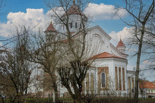 Vilnius Litthuania 2020 Március Város Egyik Legrégebbi Keresztény Szentélye Theotokos — Stock Fotó