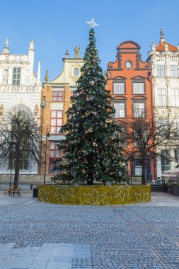 GDANSK, POLAND - 2020 HAZİRAN 17. Gdansk şehrinde Noel ağacı.