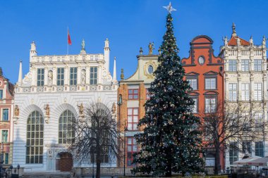 GDANSK, POLAND - 2020 HAZİRAN 17. Gdansk şehrinde Noel ağacı.