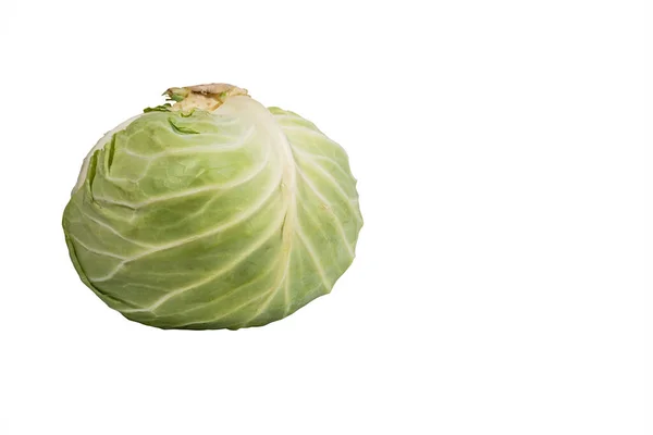 Head White Cabbage Isolated White Background — Stock Photo, Image