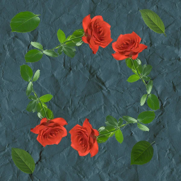 Zweige Roter Rosen Form Eines Rahmens Auf Dunklem Papierhintergrund — Stockfoto