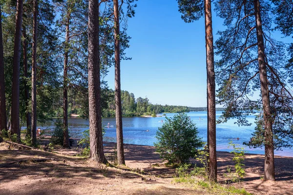 Regarder Travers Les Pins Lac Forestier Avec Les Gens Repos — Photo