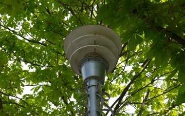 Kestane yaprakları eski fener