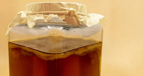 Camdan bir konteynırda siyah çay kombu çayı. Scoby mantar kültürü görüldü