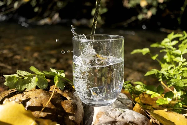 Bardaklar saf suyla doludur. Nehrin yanında, saf su konsepti.