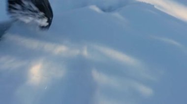 Karda yürüyen ilk kişi.