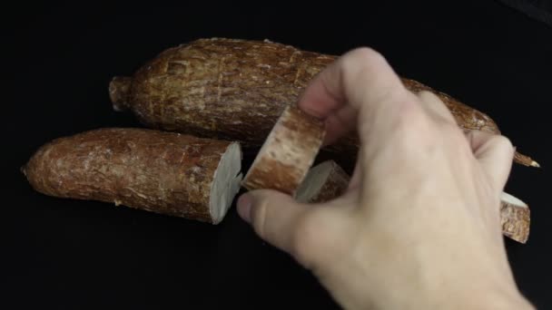 Manihot Esculenta Yucca Απομονώνονται Μαύρο Φόντο Ένα Χέρι Παίρνει Μια — Αρχείο Βίντεο