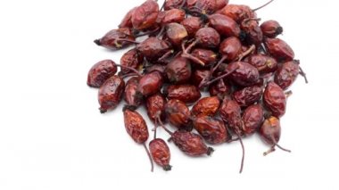 Kurumuş gül kalçaları gösteriliyor.