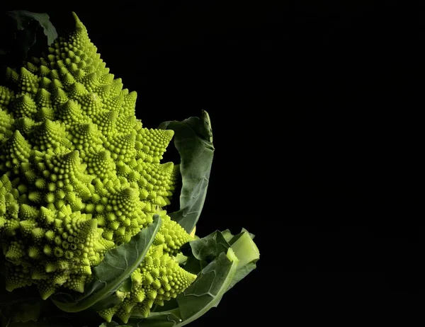 Romanesco lahanası, siyah arka planda İtalyan yeşil lahanası.