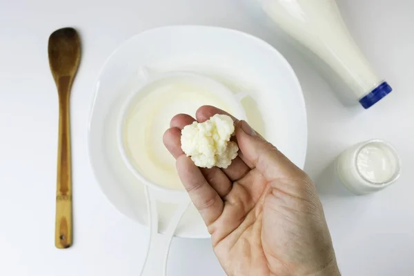 Dairy food concept, showing to the camera fresh and homemade kefir nodules on white background