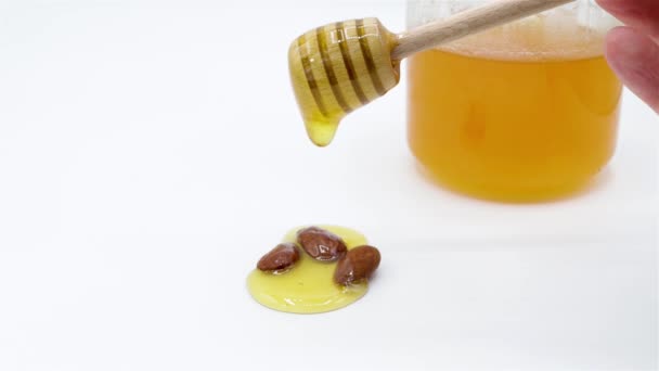 Putting Wooden Dispenser Honey Some Almonds White Background Container Honey — Stock Video