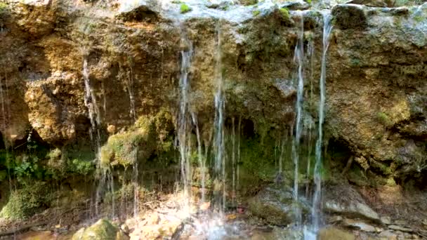 秋天的时候 瓜达拉瓦河中的一个小瀑布 石板上有美丽的光和苔藓 — 图库视频影像