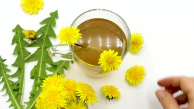 Karahindiba bitkisinin sağlıklı karışımı, Taraxacum officinale, beyaz arka planda karaciğeri arındırmak için.