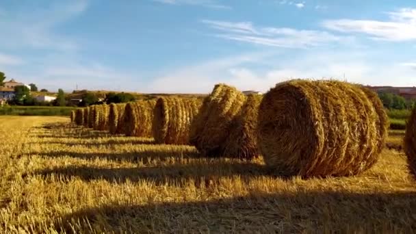 Strohballen Aus Frisch Geerntetem Weizen Einem Sommermorgen Spanien — Stockvideo