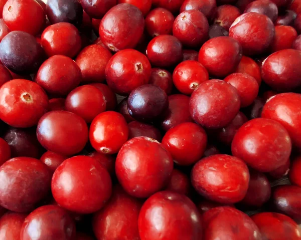 Νωπά Κόκκινα Cranberries Φόντο — Φωτογραφία Αρχείου