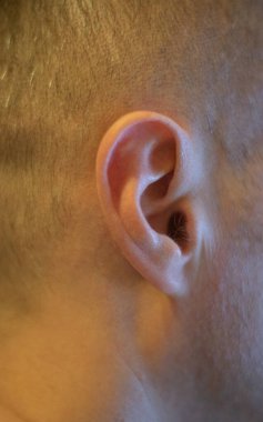 Erkek sağ kulağının yakın çekimi.
