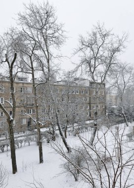 Kış ve karla kaplı ağaçların panoramik çekimi