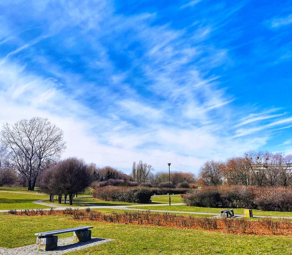 Landscape Field Grass Trees Benches Sky Greenery Public Park — Stock Photo, Image