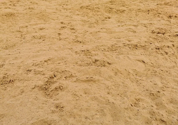 Closeup View Beach Sand Grain — Stock Photo, Image