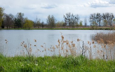 Sonbahar veya bahar manzara nehri, gökyüzü, bulutlar, yeşil çimenler ve ağaçlar