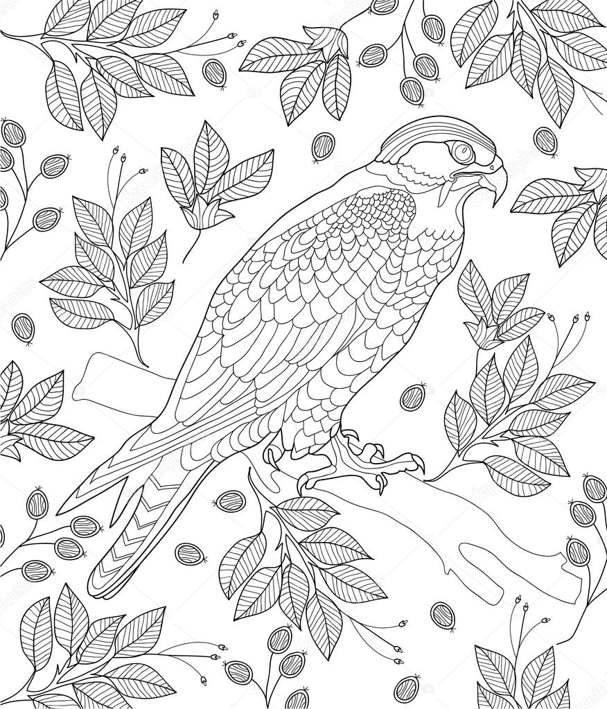 Bird coloring page Stock Vector Image by ©ImagePlus+ 21