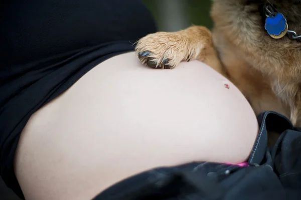 Hamile kız ile köpek pençe