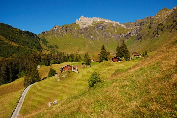 Çayır Schilthorn İsviçre altında