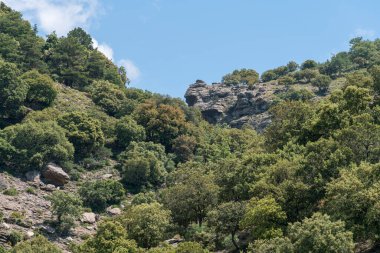 Güney İspanya 'nın dağlık arazisi, ağaçlar ve çalılar, kaya oluşumları ve taşlar var, gökyüzünde bulutlar var.