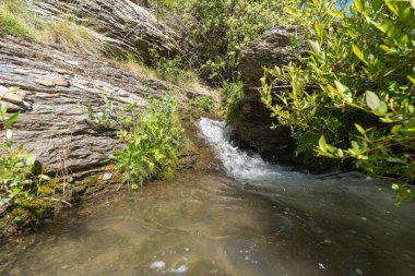 Sierra Nevada 'da bir vadide su var, bir holm meşesi ormanı var, yeşil çimenler var, kayalar ve taşlar var, gökyüzü temiz.