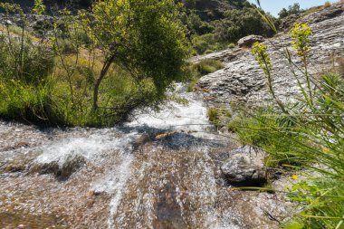 Sierra Nevada 'da bir vadide su, bir holm meşesi ormanı, yeşil çimenler, kayalar ve taşlar var, gökyüzünde bulutlar var.