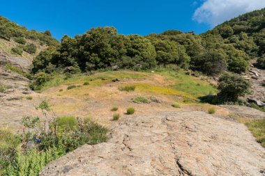 Sierra Nevada dağının yamacında Holm meşeleri, kayalar, yeşil çimenler ve çalılar var, gökyüzünde bulutlar var.