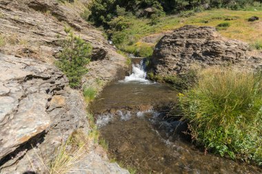 Sierra Nevada 'da bir vadiden aşağı akan sular, ağaçlar, çalılar ve çimenler, kayalar ve taşlar var.